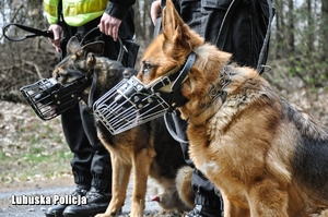 psy z policjantem