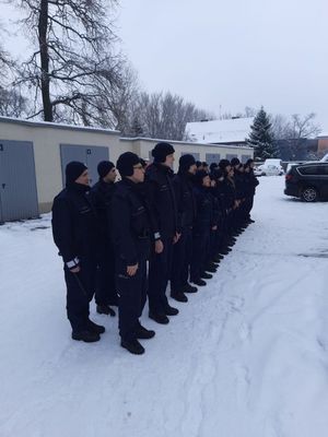 policjanci w szeregu