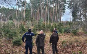 policjanci i strażnicy leśni