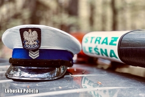 czapka policyjna i straż leśna